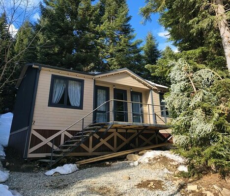 Ёшкин кот — фото 2