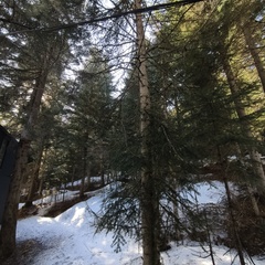 База отдыха Ёшкин кот, Республика Карачаево-Черкесия 