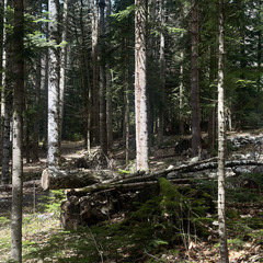 База отдыха АЛСА, Республика Карачаево-Черкесия 