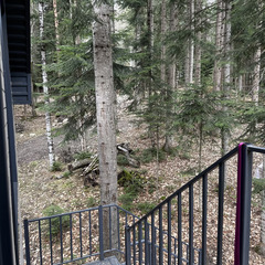 База отдыха АЛСА, Республика Карачаево-Черкесия 