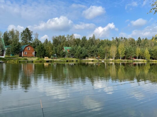 Литвиново — фото 4