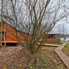 Загородная база отдыха Литвиново, Московская область