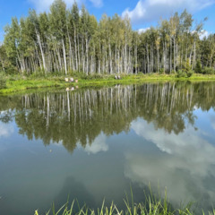 Загородная база отдыха Литвиново, Московская область