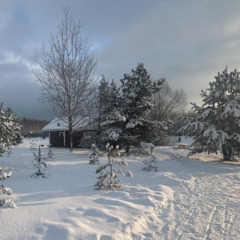 Загородная база отдыха Литвиново, Московская область
