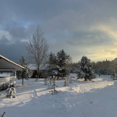 Загородная база отдыха Литвиново, Московская область
