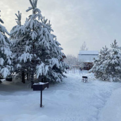 Загородная база отдыха Литвиново, Московская область