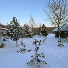 Загородная база отдыха Литвиново, Московская область