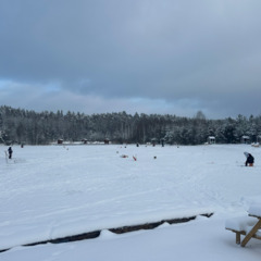 Загородная база отдыха Литвиново, Московская область
