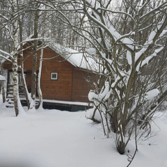 Загородная база отдыха Литвиново, Московская область