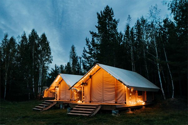 Оазис — фото 1