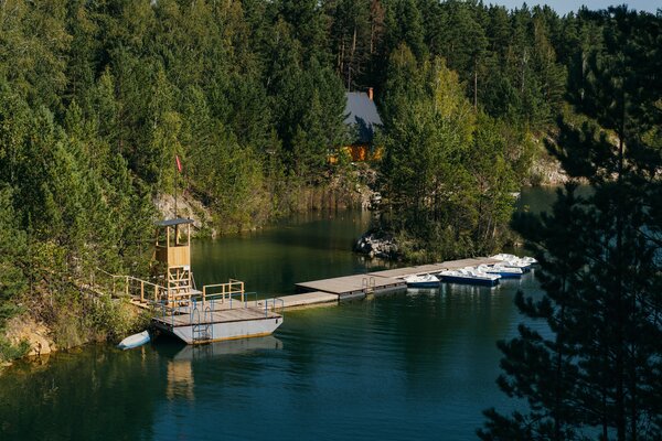 Оазис — фото 4