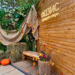 База отдыха Оазис, Новосибирская область