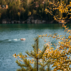 База отдыха Оазис, Новосибирская область