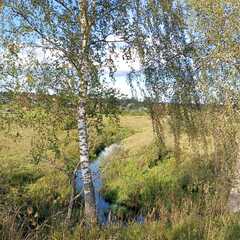 Дом в аренду у реки, Московская область