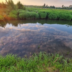 Дом в аренду у реки, Московская область