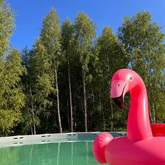 Дом в аренду у реки, Московская область