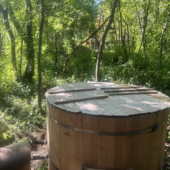 Дом в аренду у реки, Московская область