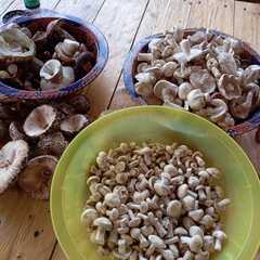 Дом в аренду у реки, Московская область