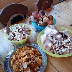 Дом в аренду у реки, Московская область