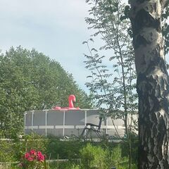 Дом в аренду у реки, Московская область