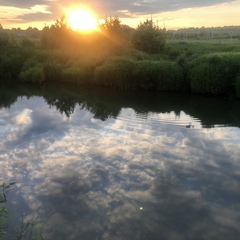 Дом в аренду у реки, Московская область