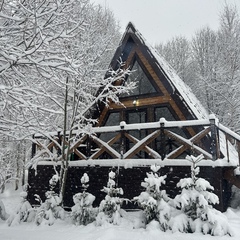Дом в аренду у реки, Московская область