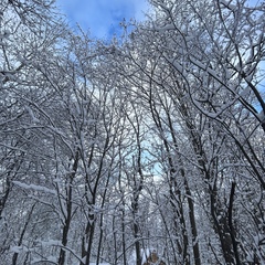 Дом в аренду у реки, Московская область