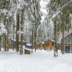 База отдыха Горки, Ленинградская область