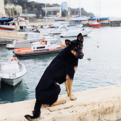 Апарт-отель Порто, Краснодарский край