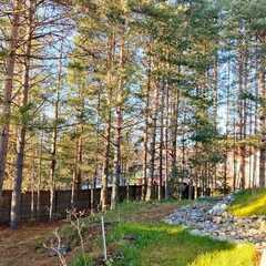 Гостевой дом Хвойная Гармония, Республика Карелия