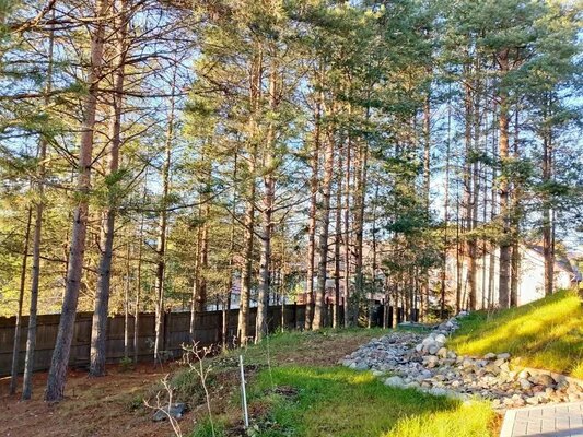 Хвойная Гармония — фото 4