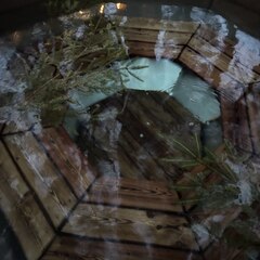 Гостевой дом Хвойная Гармония, Республика Карелия