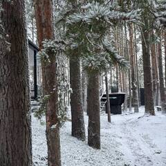 Гостевой дом Хвойная Гармония, Республика Карелия