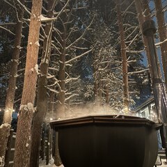 Гостевой дом Хвойная Гармония, Республика Карелия