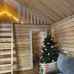 Дом в аренду Манский берег, Красноярский край