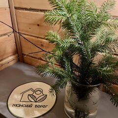 Дом в аренду Манский берег, Красноярский край