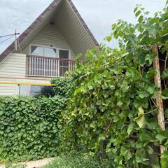 Гостевой дом Дом у реки, Астраханская область