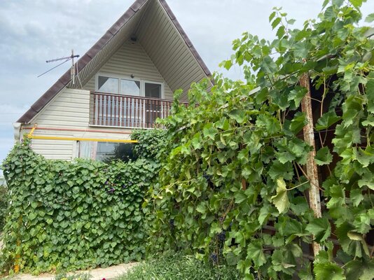 Дом у реки — фото 2