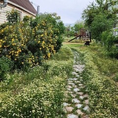 Гостевой дом Дом у реки, Астраханская область