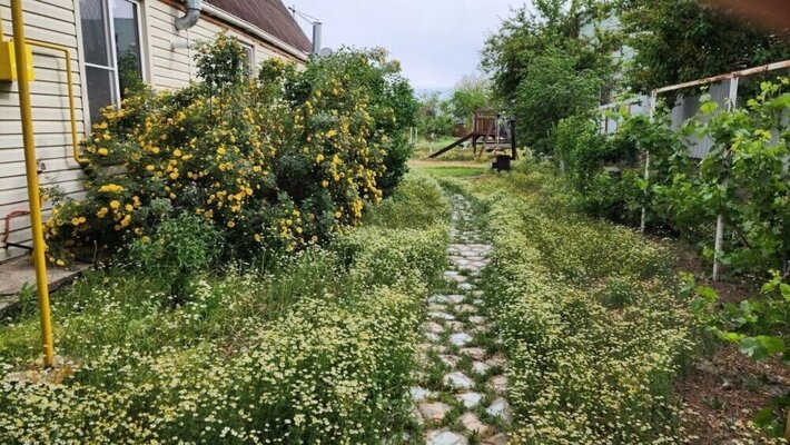 Дом у реки — фото 3