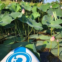 Гостевой дом Дом у реки, Астраханская область