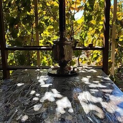 Гостевой дом Дом у реки, Астраханская область