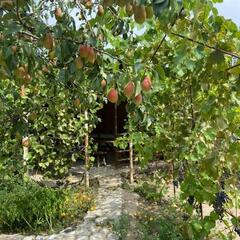 Гостевой дом Дом у реки, Астраханская область