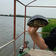 Гостевой дом Дом у реки, Астраханская область