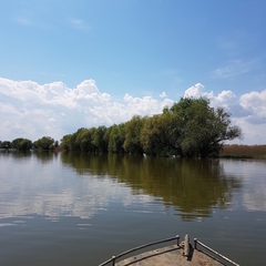 Гостевой дом Дом у реки, Астраханская область