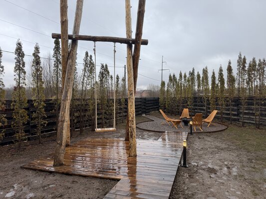 Мечта Лаванда — фото 4