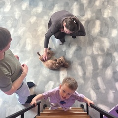 Дом Мечта Лаванда, Тульская область