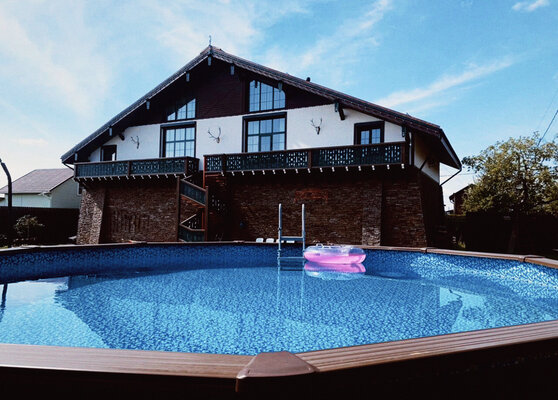 Две цапли — фото 4