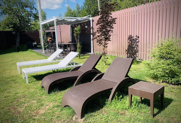 Две цапли — фото 2