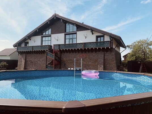 Две цапли — фото 1